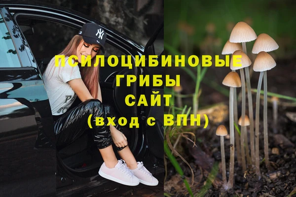 соль ск Алексеевка