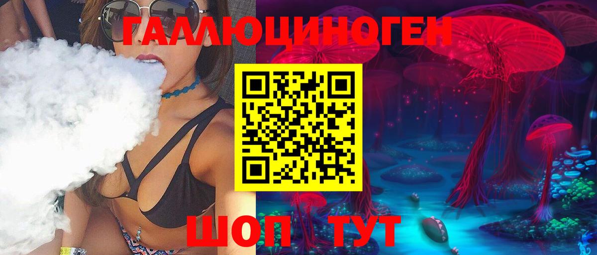 Галлюциногенные грибы Psilocybine cubensis  Вход с VPN  Псилоцибиновые грибы Psilocybe  Арзамас 